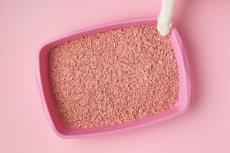 Cat litter sand alternatives: Pros and Cons